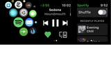 Spotify is Testing an Apple Watch App