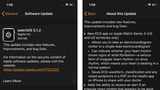 Apple Releases watchOS 5.1.2 With ECG App, Irregular Heart Rhythm Alerts, More