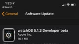 Apple Seeds watchOS 5.1.3 Beta to Developers [Download]