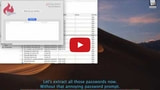 Hacker Discovers Zero-day Exploit That Allows for Extraction of All Passwords on macOS Mojave [Video]