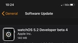 Apple Seeds watchOS 5.2 Beta 4 and tvOS 12.2 Beta 4 to Developers [Download]