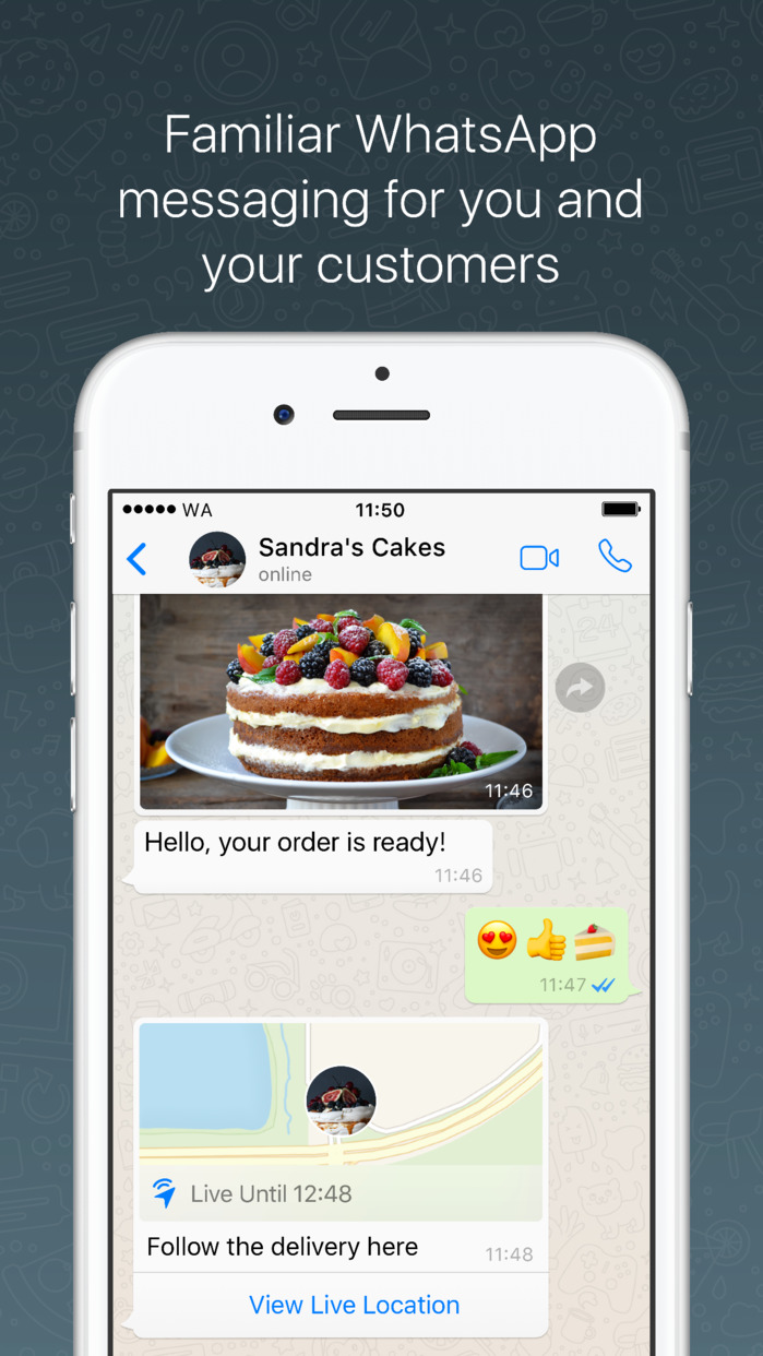 WhatsApp Business App Released for iPhone