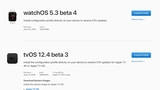 Apple Seeds tvOS 12.4 Beta 3 and watchOS 5.3 Beta 4 to Developers [Download]