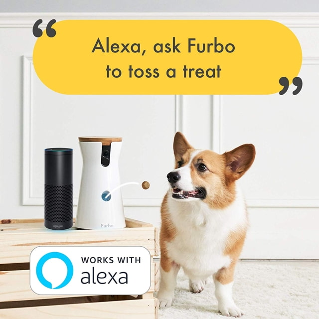 The Treat Tossing &#039;Furbo&#039; Dog Camera is On Sale for 46% Off [Deal]