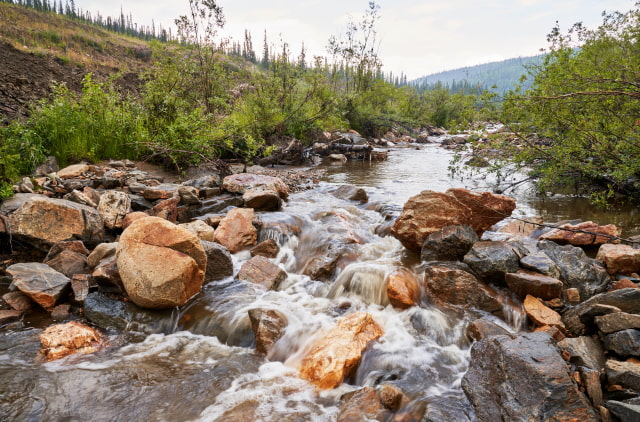 Apple to Source Gold From Miners Who Commit to Restoring the Land They&#039;re Operating On