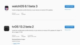 Apple Seeds watchOS 6.1 Beta 3 and tvOS 13.2 Beta 2 to Developers [Download]