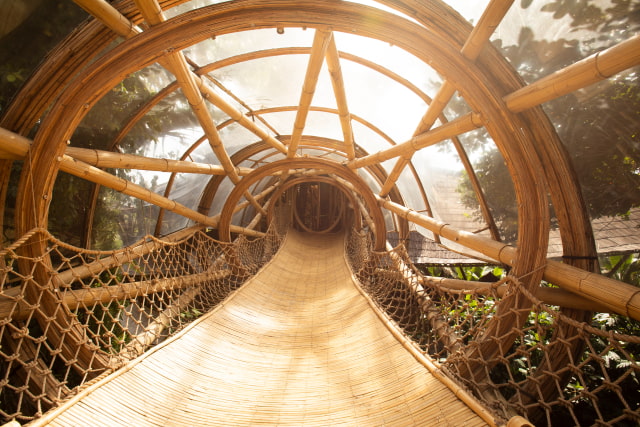 Apple Announces New Apple TV+ Shows and Premiere Dates