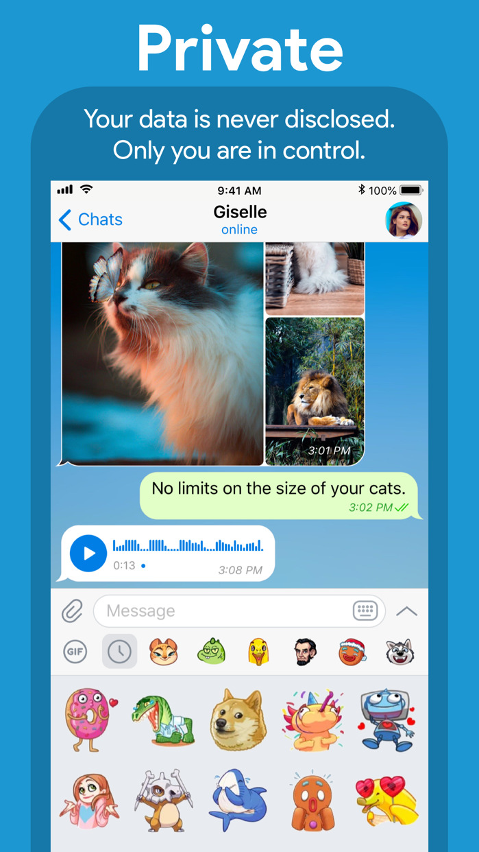 Telegram Plans to Launch Secure Group Video Calling This Year
