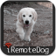Ivanovich Games Releases iRemoteDog 1.0