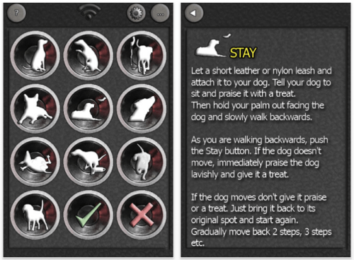 Ivanovich Games Releases iRemoteDog 1.0