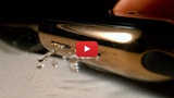 Slow Motion Video Shows How Apple Watch Ejects Water From Its Speakers