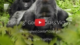 New 'Gorilla Glass Victus' Survives 2m Drops, Offers 2X Scratch Resistance [Video]