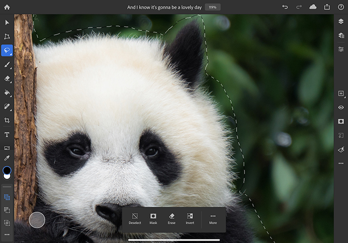 Adobe Photoshop App for iPad Gets Refine Edge Brush and Rotate Canvas