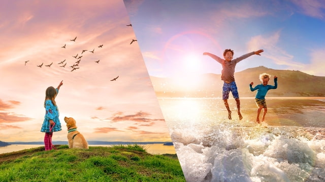 Adobe Releases Adobe Photoshop Elements 2021 and Premiere Elements 2021