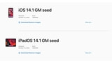 Apple Releases iOS 14.1 GM Seed and iPadOS 14.1 GM Seed to Developers [Download]