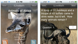 iLiveMath Animals Of Africa 1.1 Released