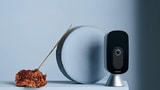 Ecobee SmartCamera Gets Support for Apple HomeKit Secure Video