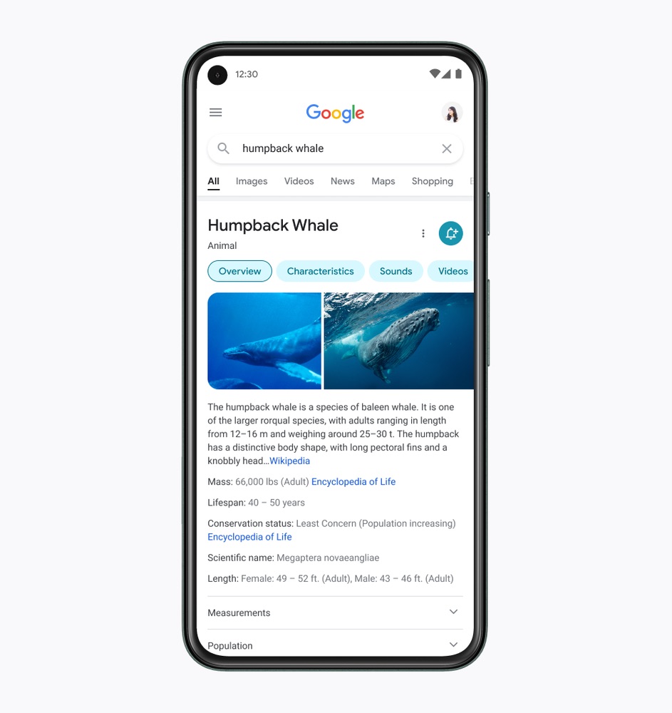 Google Unveils Mobile Search Redesign