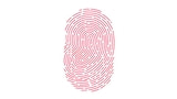 iPhone 13 Will 'Likely' Feature Under Display Fingerprint Scanner [Report]