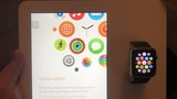 Apple Watch Demo Unit Contains Logo Image for 'Apple Watch Pro'
