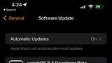 Apple Seeds watchOS 8.4 Beta to Developers [Download]