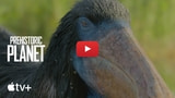 Apple Shares Clips From 'Prehistoric Planet' [Video]