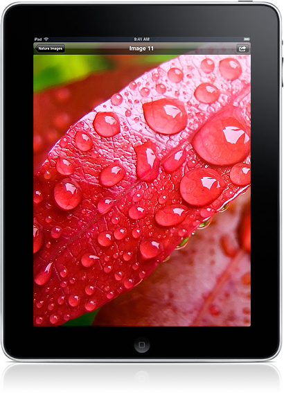 Nature Images HD Makes Your iPad Even More Beautiful