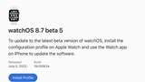 Apple Seeds watchOS 8.7 Beta 5 to Developers [Download]