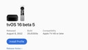 Apple Seeds tvOS 16 Beta 5 to Developers [Download]