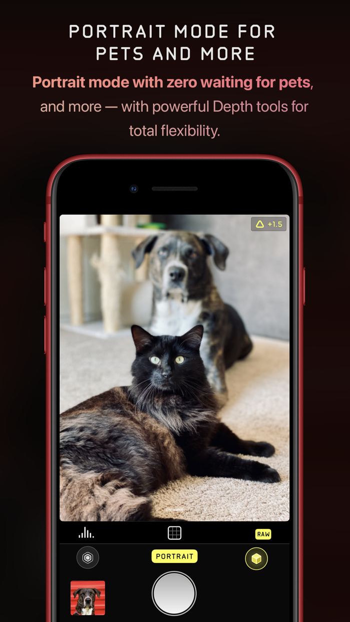Halide Camera App Adds 2X Zoom to iPhone 14 Pro