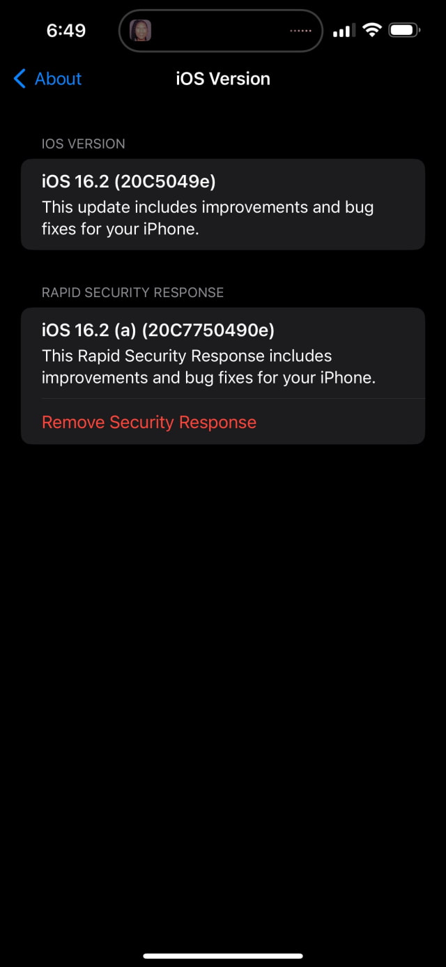 Apple Releases &#039;Rapid Security Response&#039; for iOS 16.2 Beta