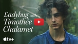 Apple Shares New Apple TV+ Ad: 'Ladybug With Timothee Chalamet' [Video]