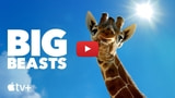 Apple Announces New Nature Docuseries 'Big Beasts' [Video]