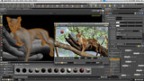 Houdini for Mac Beta Program