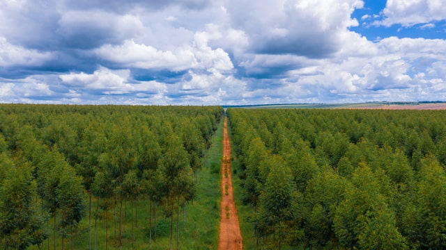 Apple Announces Expansion of Restore Fund for Carbon Removal - Vimarsana News