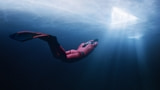 Apple Debuts New 'Ice Dive' Adventure Episode for Vision Pro [Video]