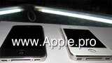 Real Pictures of the White iPhone 4G?