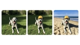 Google Brings AI Image Editing to Gemini App