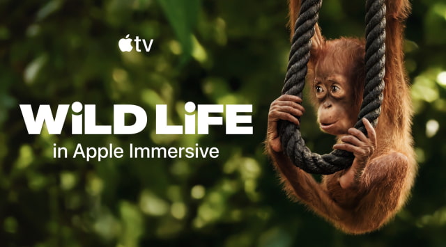 Apple Announces New Slate of Immersive Films for Vision Pro 