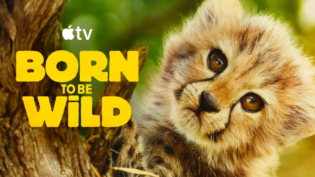 Apple Shares Official Trailer for &#039;Born to be Wild&#039; Wildlife Series [Video]
