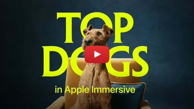 Apple выпустила трейлер иммерсивного документального сериала «Top Dogs» для Vision Pro [Видео]