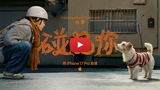 Apple Releases 'Glad I Met You' Chinese New Year Film Shot on iPhone 17 Pro [Video]