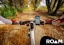 Roam Universal Premium Bike Phone Mount Holder for iPhone
