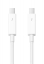 Apple Thunderbolt Cable (0.5m) - 29.00
