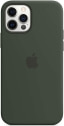 Apple Silicone Case with MagSafe for iPhone 12 / iPhone 12 Pro (Cyprus Green)