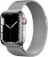 Apple Watch Series 7 (Cellular, 41mm, Silver Stainless Steel Case, Silver Milanese Loop) - $719.00
