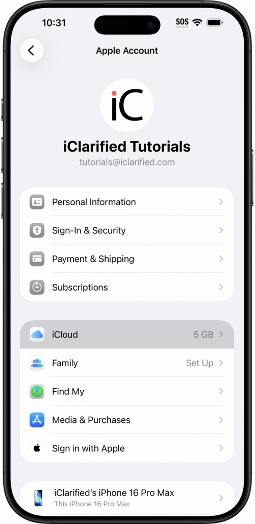 Tap iCloud on the Apple Account screen
