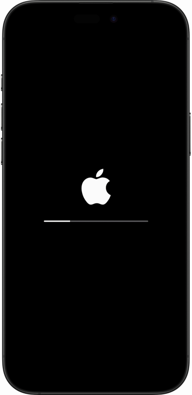 The Apple logo and a progress bar while the update installs