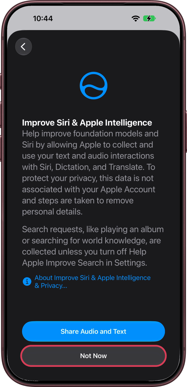 Not Now ringed on Improve Siri & Apple Intelligence