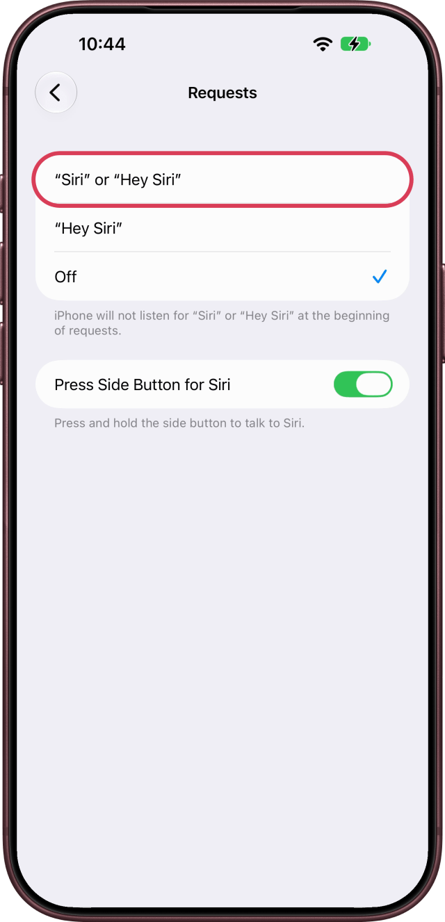 "Siri" or "Hey Siri" ringed on the Requests screen